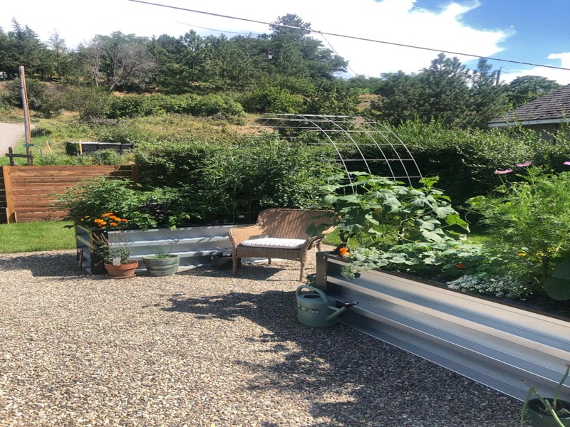 GrowBoxx garden with marigolds and cucumbers