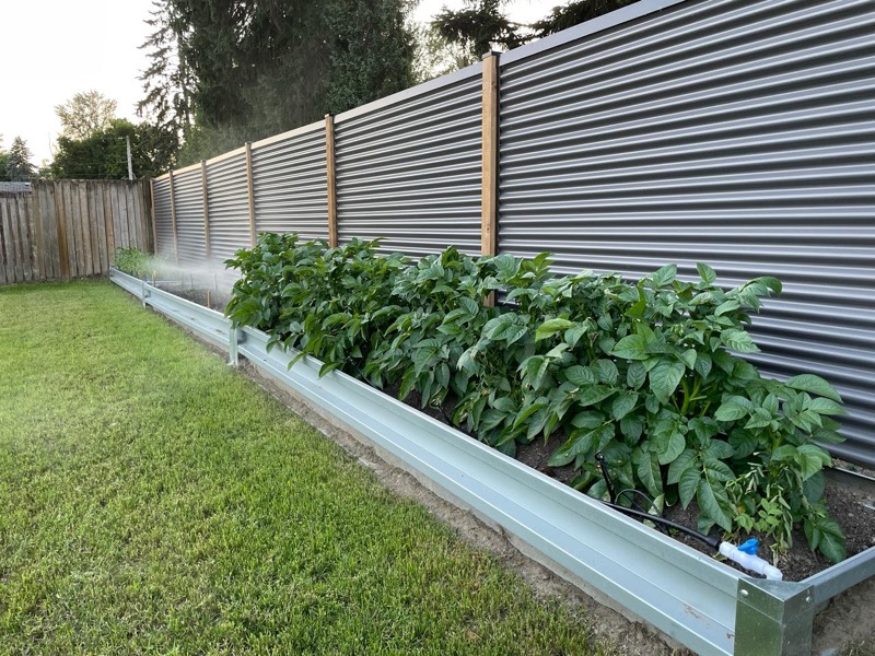 GrowBoxx long bed with pepper plants and drip irrigation