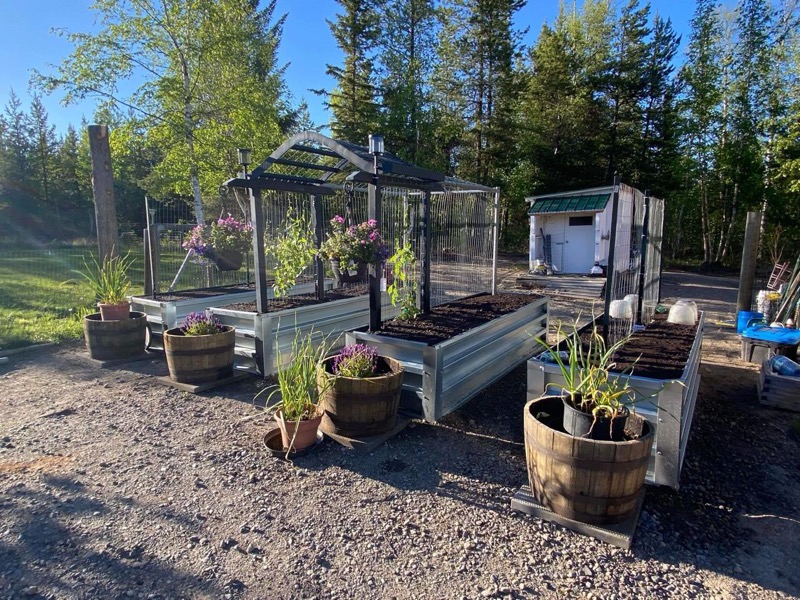 GrowBoxx multiple beds with greenhouse setup